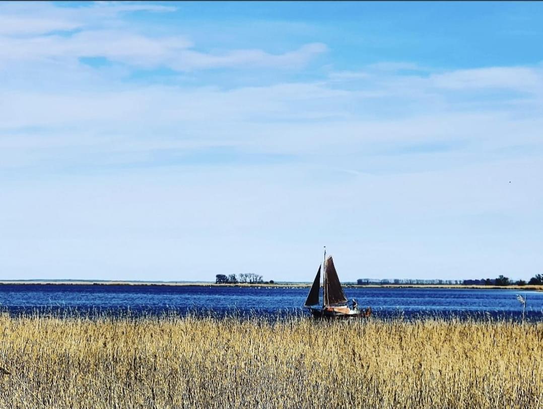 Zingst Achtern Diek 12d Elly Exterior foto