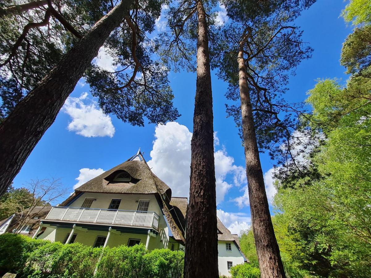 Zingst Achtern Diek 12d Elly Exterior foto